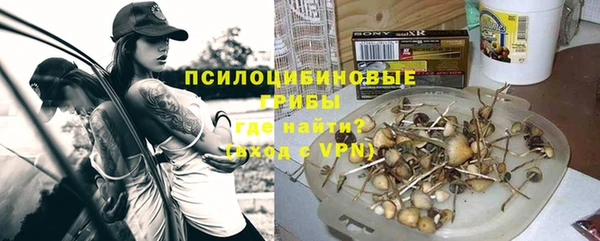 дурь Богданович