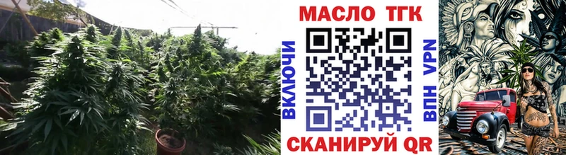 Купить  Электрогорск  Дистиллят ТГК THC oil 